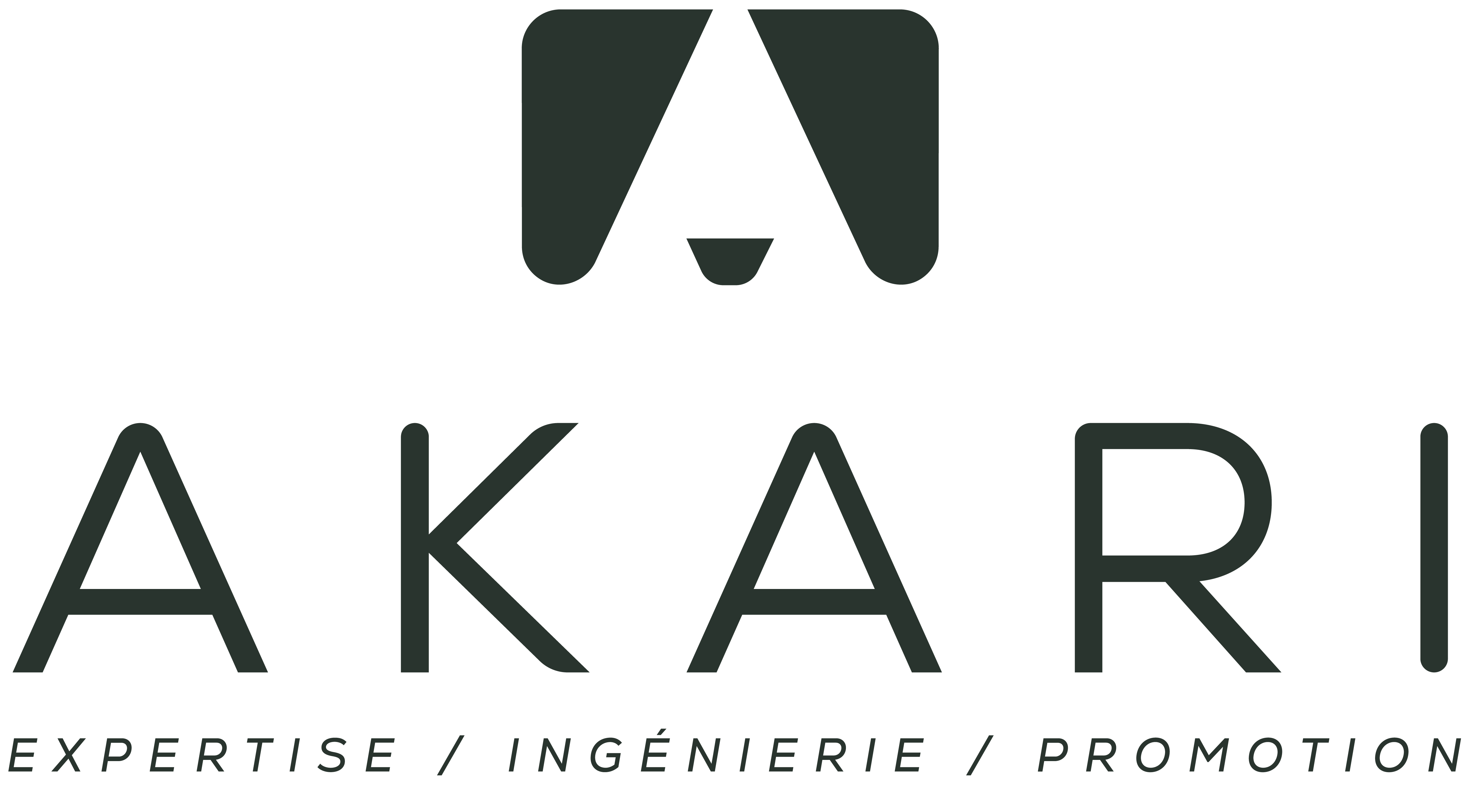 Logo AKARI